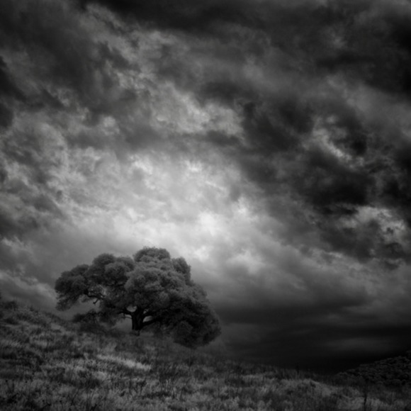 joshuatree111
